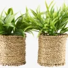 BERTRAMPlanta artificial BERTRAM Ø8xA18cm variado