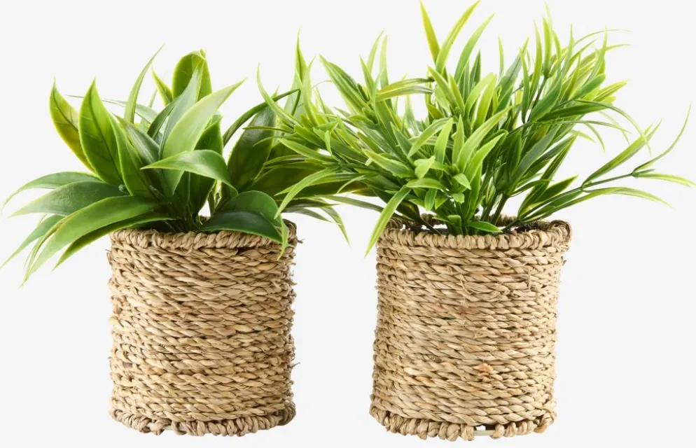 BERTRAMPlanta artificial BERTRAM Ø8xA18cm variado