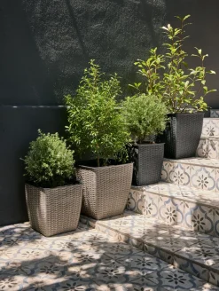 ISLOMCesto de jardín ISLOM 38x38x39 natural