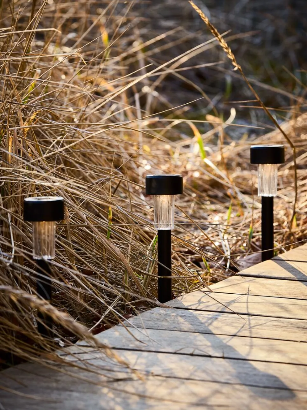 JAKTFALKLámpara solar JAKTFALK Ø6xA36cm negro