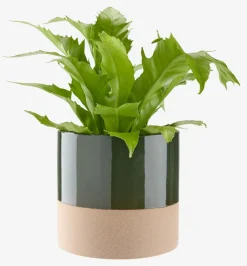 KRAGEMacetero KRAGE Ø16xA15 verde oscuro