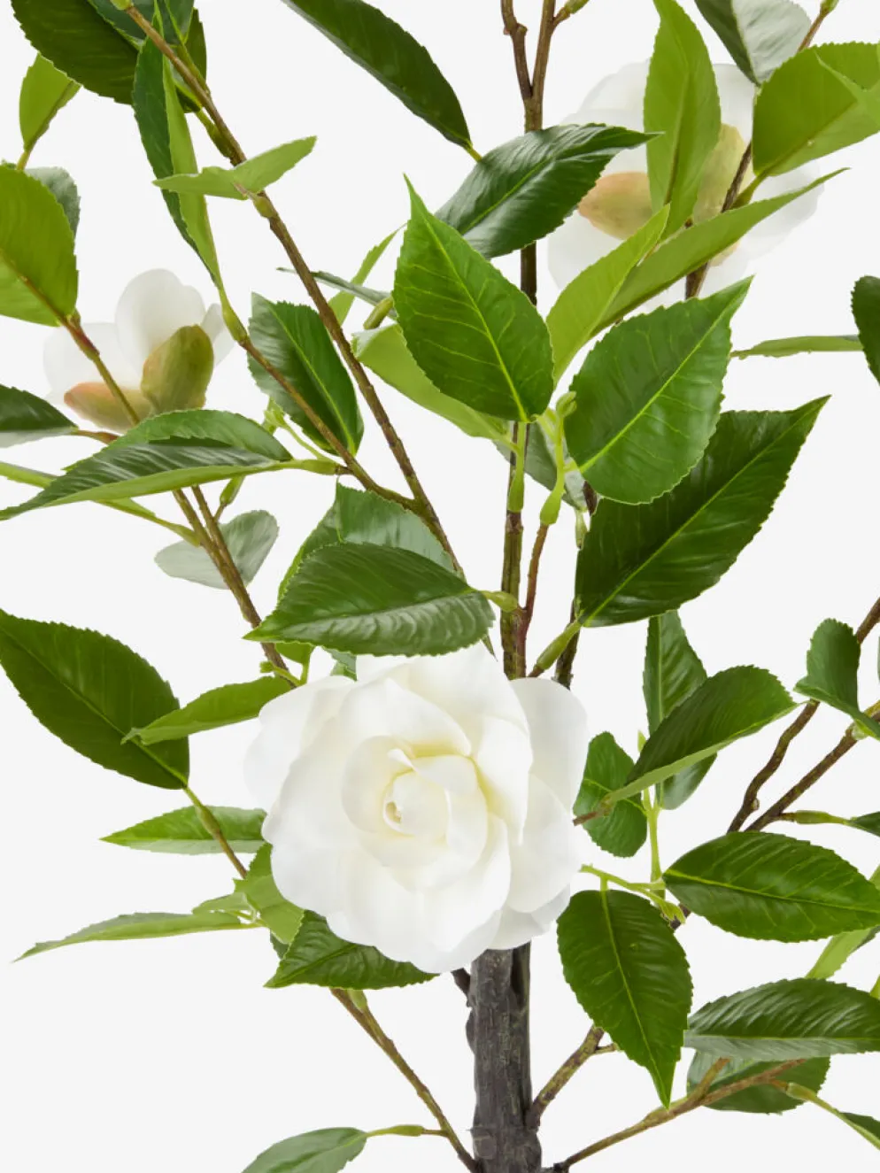 SOLOPGANGPlanta artificial SOLOPGANG A80 rosal blanco